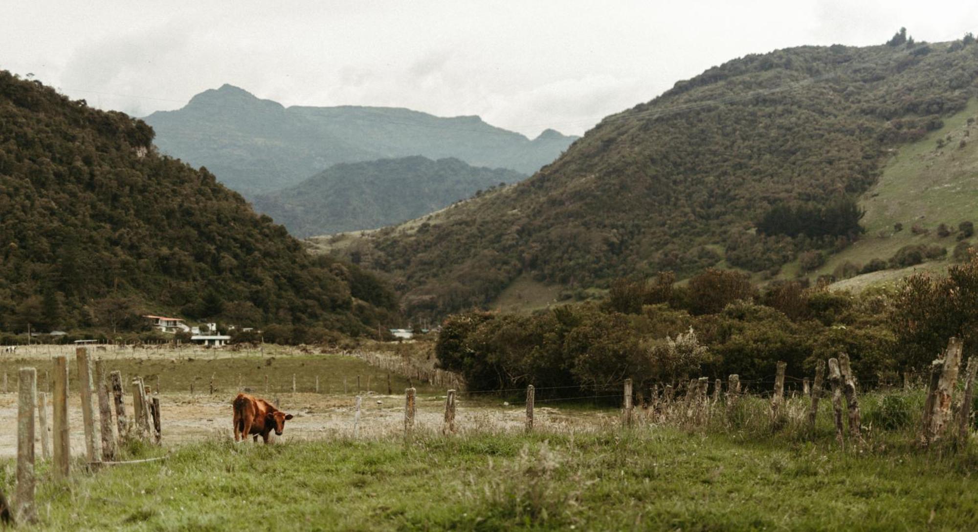 Mamallacta Paramo Lodge Papallacta Buitenkant foto